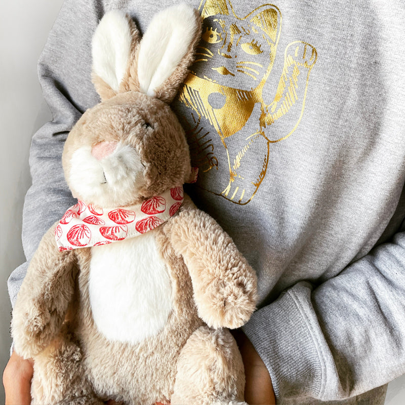 Cuddly Toy Bunny