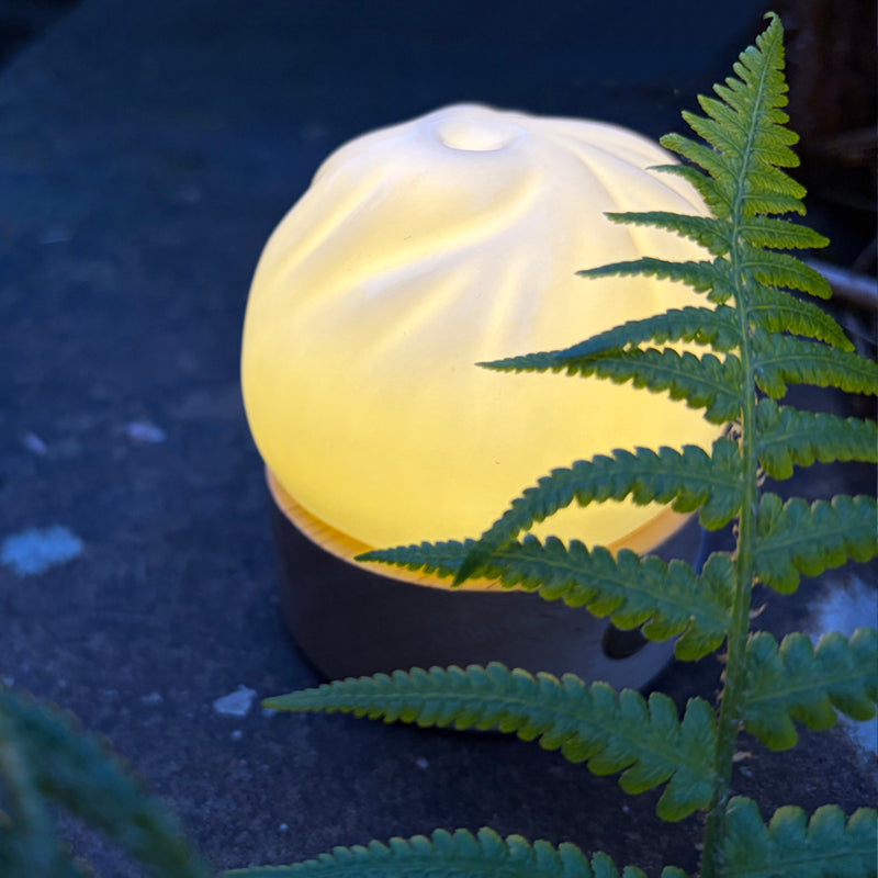 Dumpling Rechargeable Light