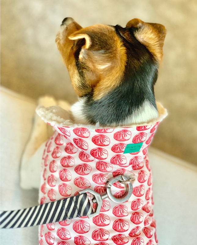 Dumpling Dog Jacket