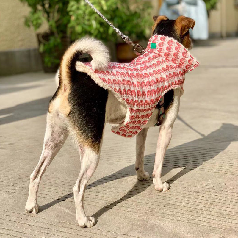Dumpling Dog Jacket