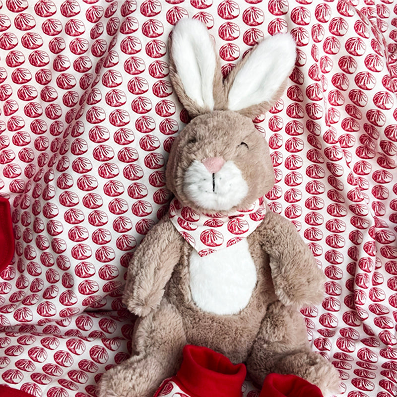 Cuddly Toy Bunny – Pinyin Press