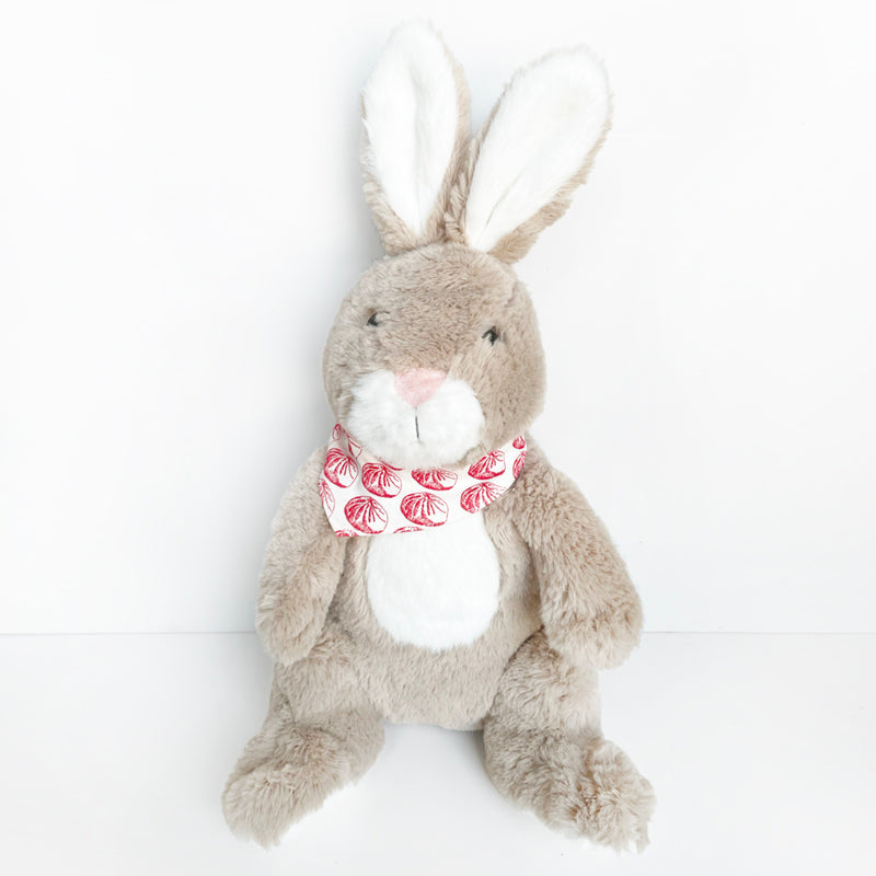 Cuddly Toy Bunny – Pinyin Press